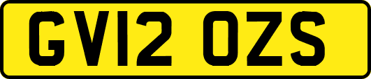 GV12OZS