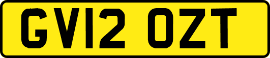 GV12OZT