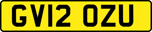 GV12OZU