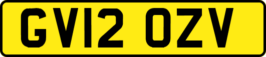 GV12OZV
