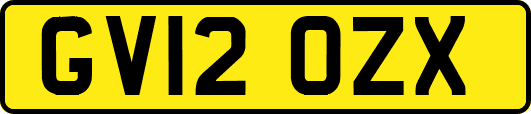 GV12OZX