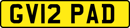 GV12PAD