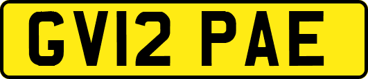GV12PAE