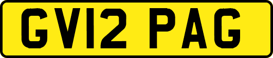 GV12PAG