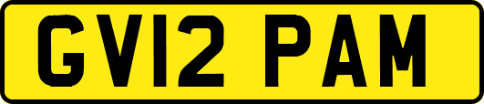 GV12PAM