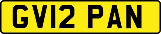 GV12PAN