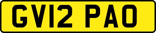 GV12PAO