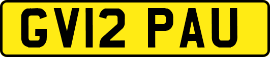 GV12PAU