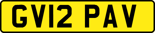 GV12PAV