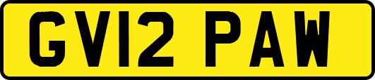 GV12PAW