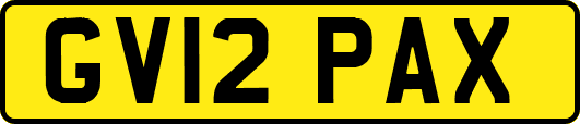 GV12PAX