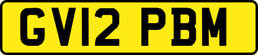 GV12PBM