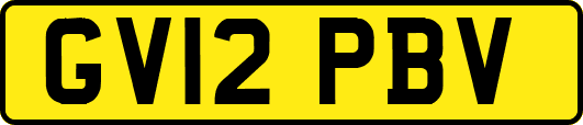 GV12PBV