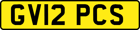 GV12PCS