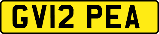 GV12PEA