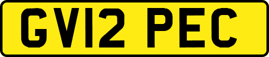 GV12PEC