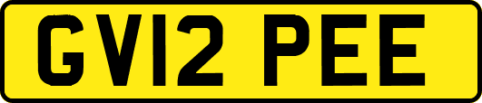 GV12PEE