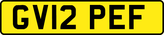 GV12PEF