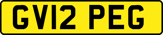 GV12PEG