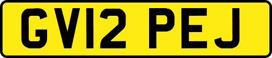 GV12PEJ