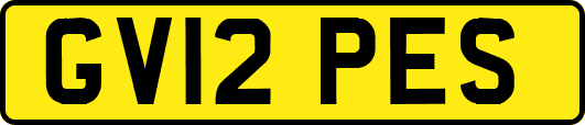GV12PES