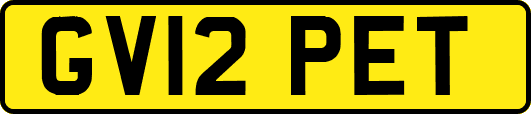 GV12PET