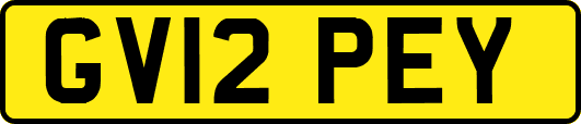 GV12PEY