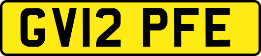 GV12PFE