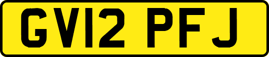 GV12PFJ