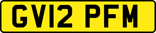 GV12PFM