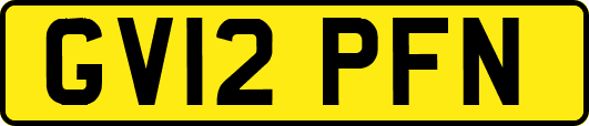 GV12PFN