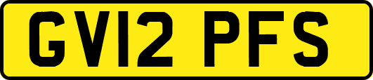 GV12PFS
