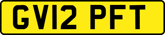 GV12PFT