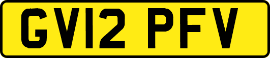 GV12PFV