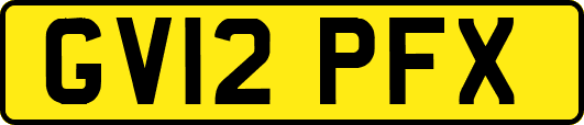 GV12PFX