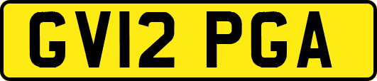 GV12PGA