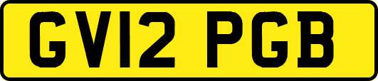 GV12PGB