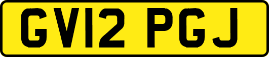 GV12PGJ