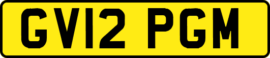 GV12PGM