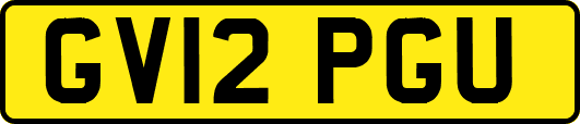 GV12PGU