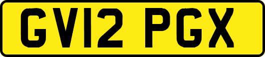 GV12PGX