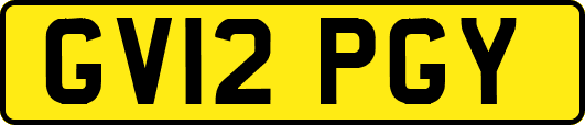 GV12PGY