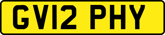 GV12PHY