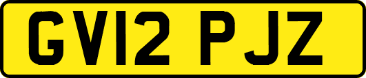 GV12PJZ