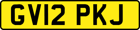 GV12PKJ