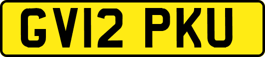 GV12PKU