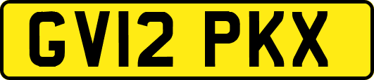 GV12PKX