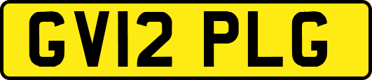 GV12PLG