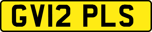 GV12PLS
