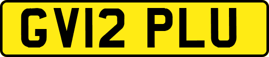 GV12PLU